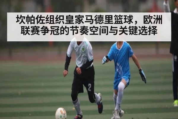 坎帕佐组织皇家马德里篮球，欧洲联赛争冠的节奏空间与关键选择